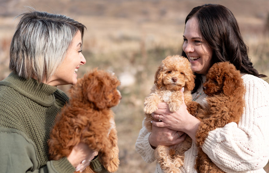 Goldendoodle Mom