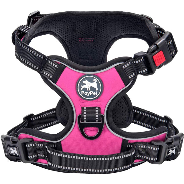 poypet harness